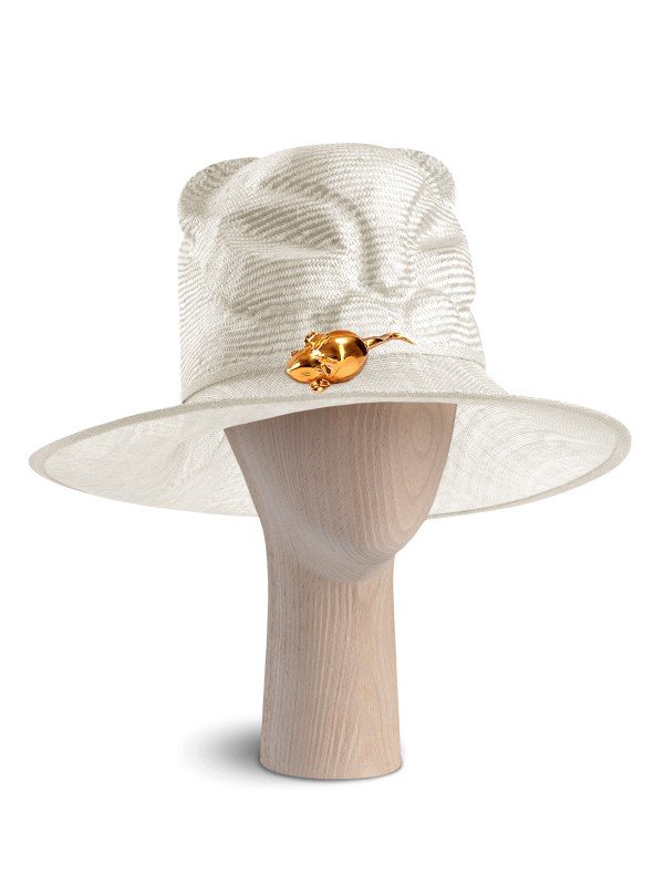 Cat Van Hat